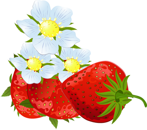 Strawberry Clipart (600x530), Png Download