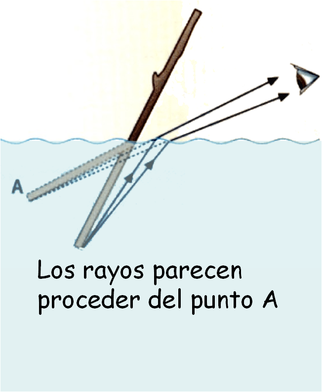 La Explicación De La Moneda Que Se Eleva Es La Siguiente - Feliz Aniversario 2 Años Clipart (652x793), Png Download