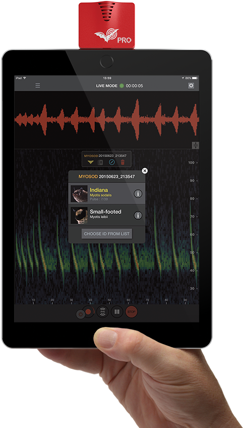 Batconservationtrust - Echo Meter Touch Pro Clipart (500x855), Png Download