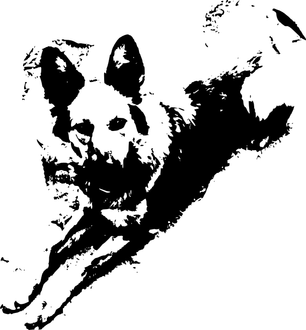 Mi Perra Yeñé Vectorizada Según El Primer Seteo - Manchas De Pintura Negras Png Clipart (608x655), Png Download