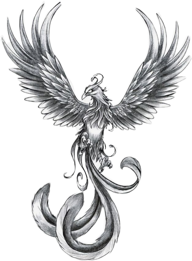 Vamos A Encontrarnos, Antes Que Se Arrepientan Los - Phoenix Tattoo Clipart (624x847), Png Download