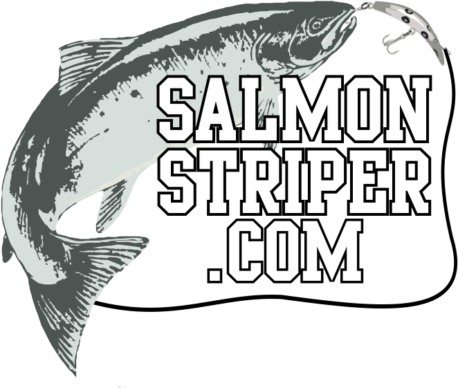 Bony-fish Clipart (706x578), Png Download