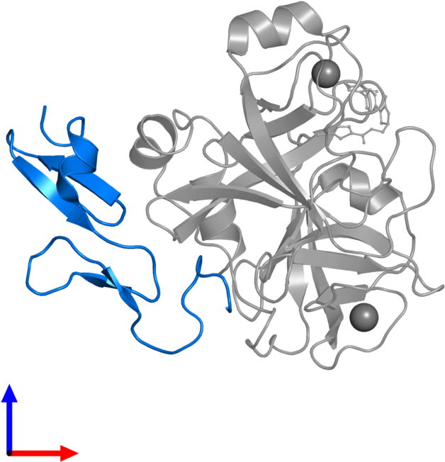 <div Class='caption-body'>pdb Entry 2w26 Contains 1 - Cartoon Clipart (800x800), Png Download
