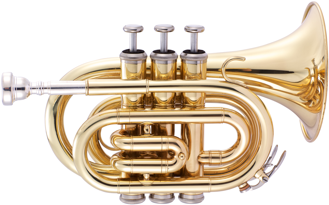 Long Horn Trumpet Png - Cornet Clipart (1200x790), Png Download