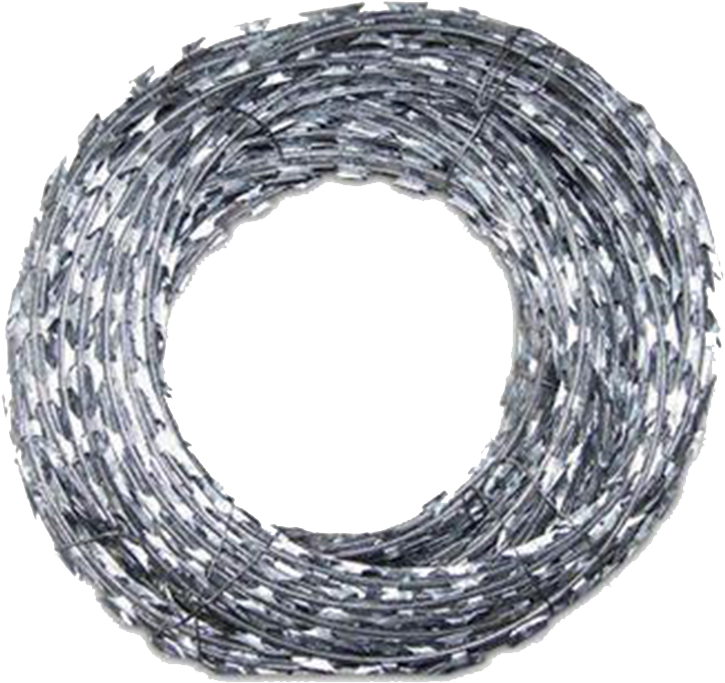 Razorwire - Barbed Wire Clipart (800x800), Png Download