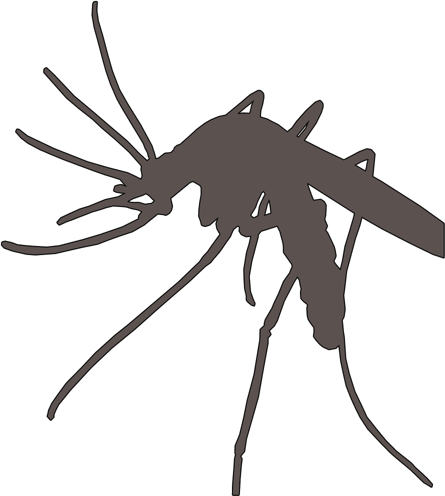 Mosquito Vector Marsh - Malaria Mosquito Png Clipart (1268x1288), Png Download