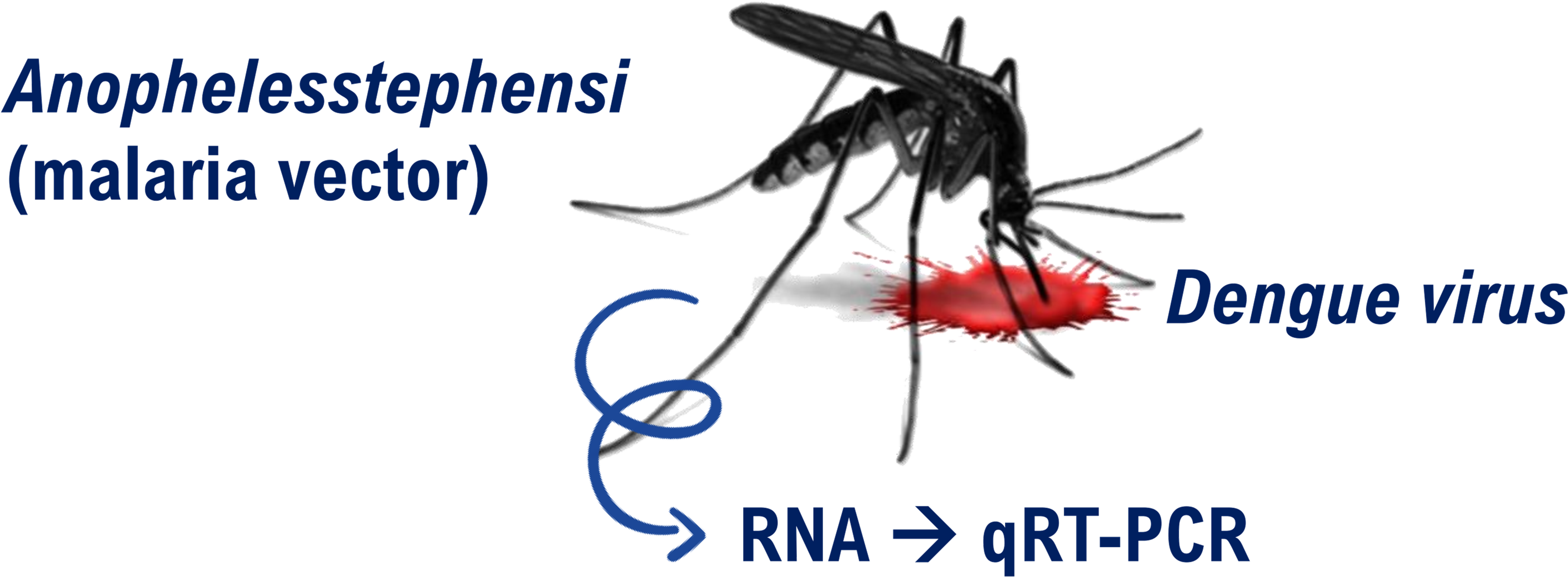 Mosquito Signaling - Mosquito Clipart (6856x2640), Png Download