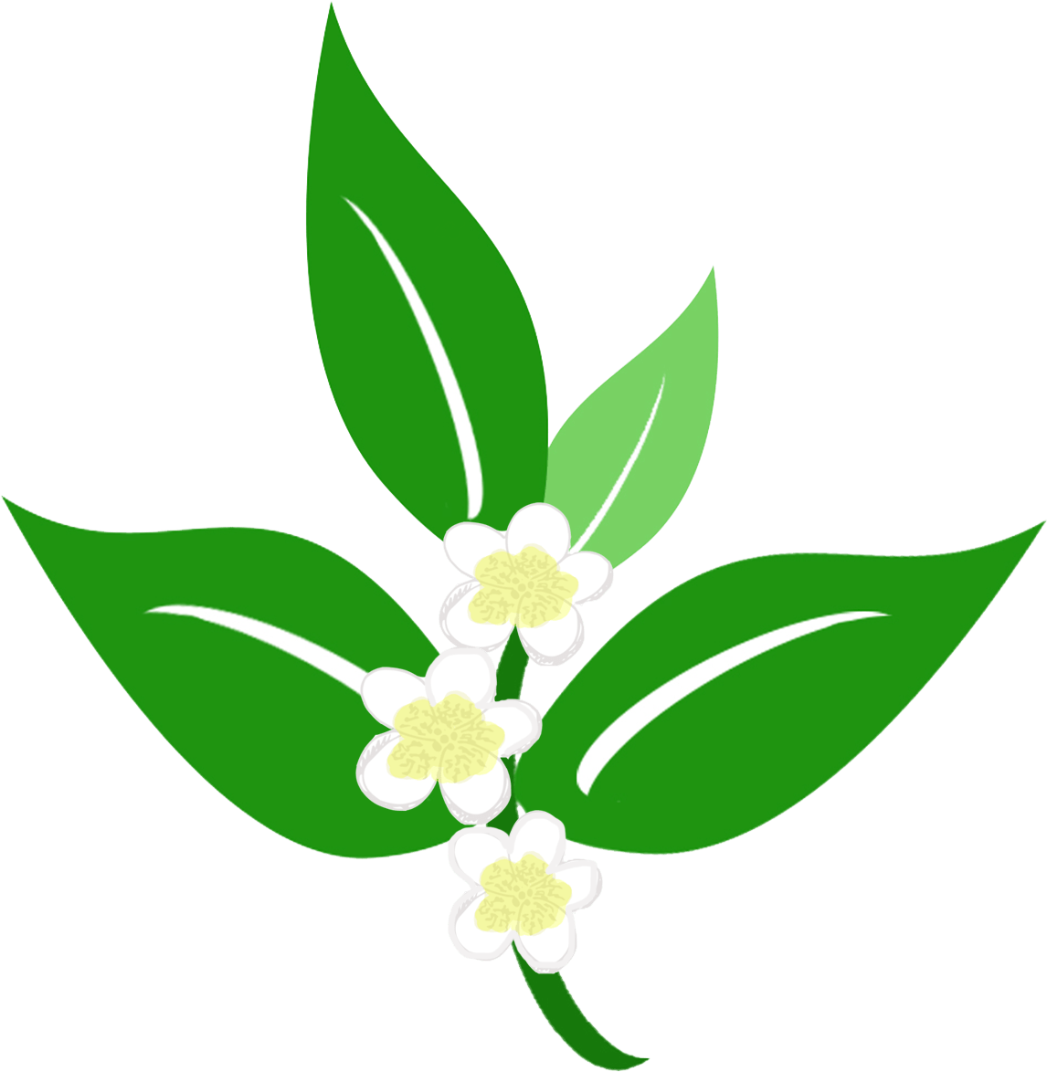 Com/wp Leaves And Flower Transparent Clipart (1200x1200), Png Download