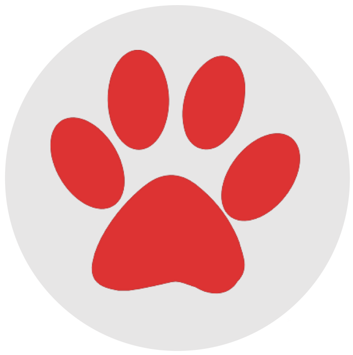 Puppy Adoption Certificate Paw Patrol Clipart (695x697), Png Download