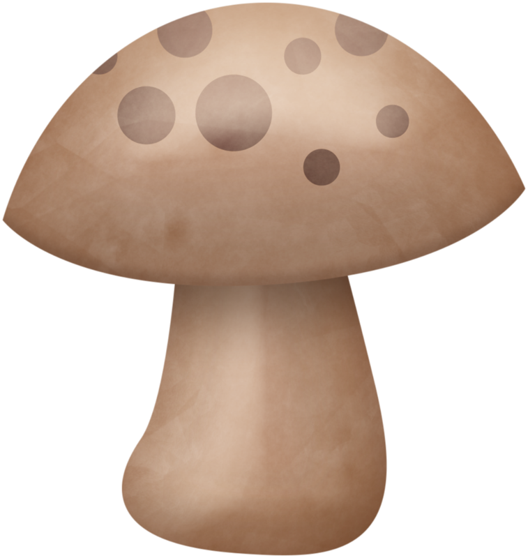 Kaagard Veggiegarden Mushroom - Shiitake Clipart (757x800), Png Download