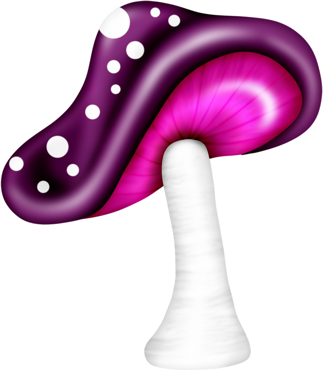 Shrooms ‿✿⁀°••○ - Illustration Clipart (800x800), Png Download