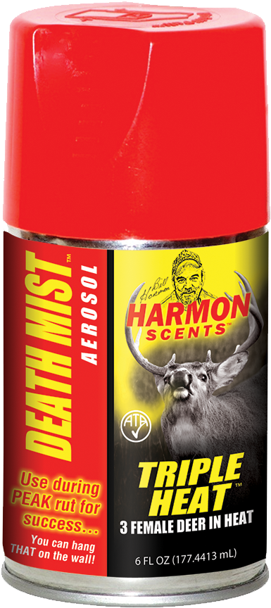 Hornet Clipart (960x960), Png Download