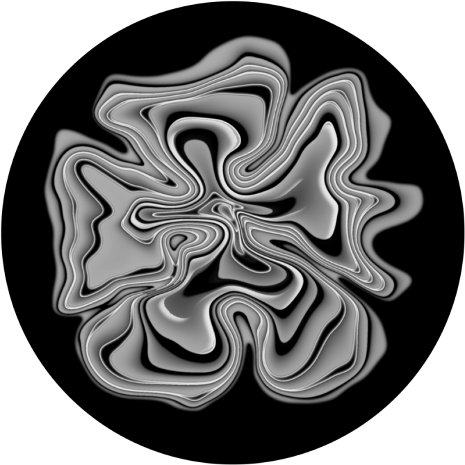 More Views - Shrooms - Circle Clipart (800x800), Png Download