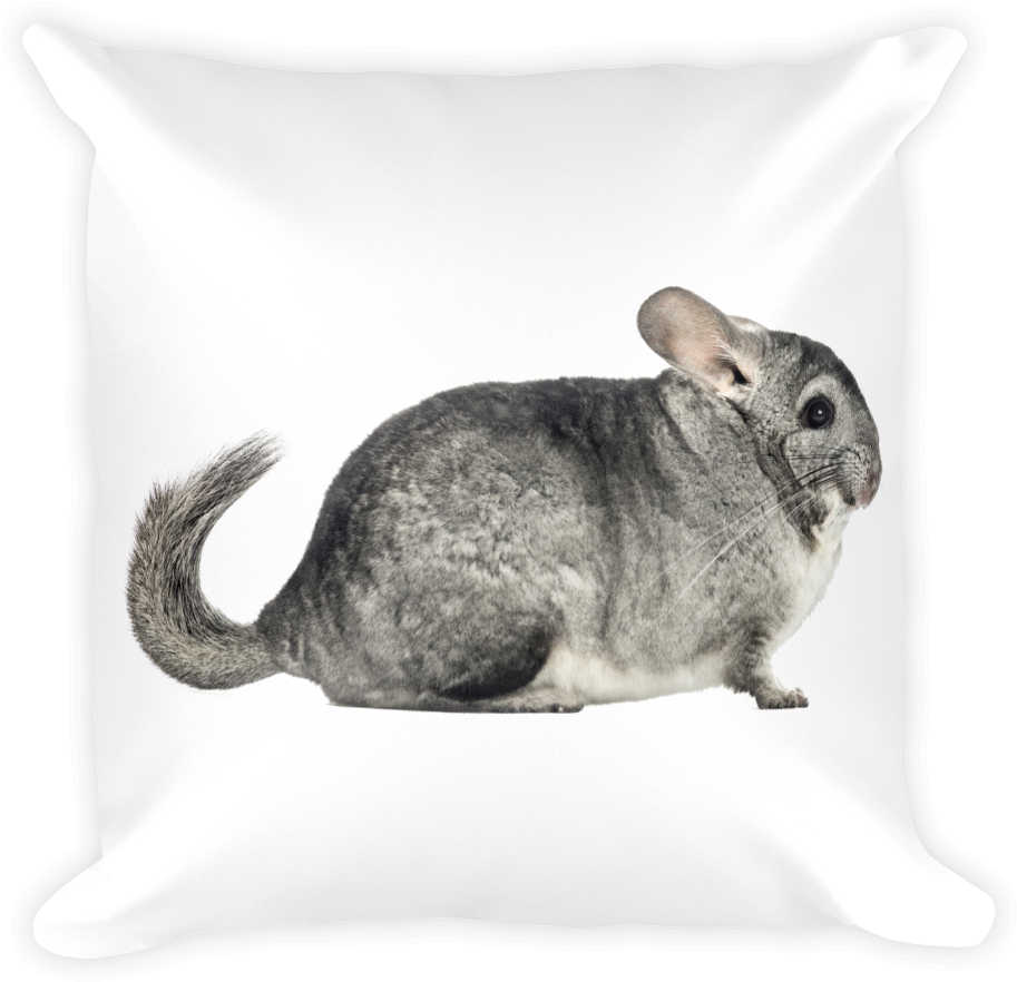 Chinchilla Print Square Pillow - Chinchilla Clipart (913x882), Png Download