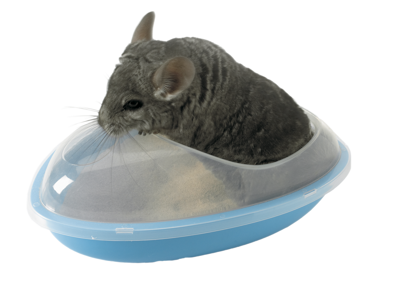 Wellness Bath - Bedding - Bedding - Small Animalswellness - Chinchilla Sand Bath Clipart (1299x992), Png Download