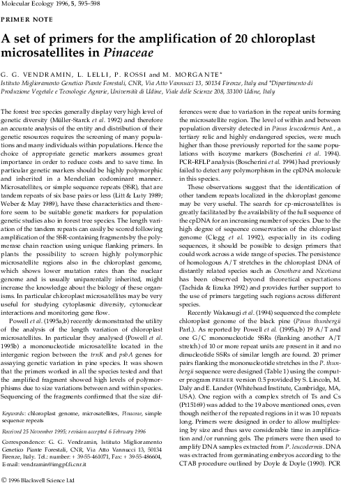 A Set Of Primers For The Amplification Of 20 Chloroplast - Folio Four From Burchard Of Sion's De Locis Ac Mirabilibus Clipart (595x842), Png Download