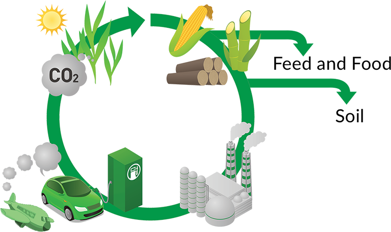 It's A Fact - Biofuel Biomass Clipart (800x476), Png Download