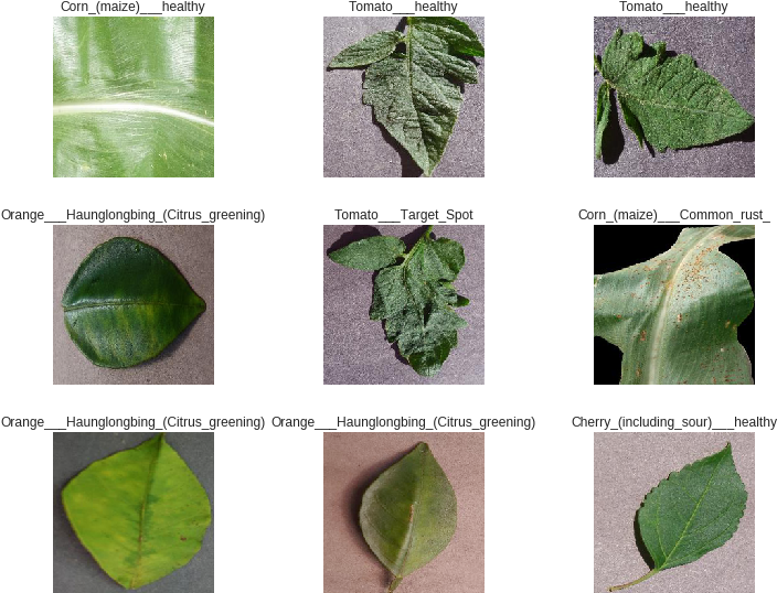 You'll Notice That The Images Appear To Have Been Zoomed - Plant Pathology Clipart (718x568), Png Download