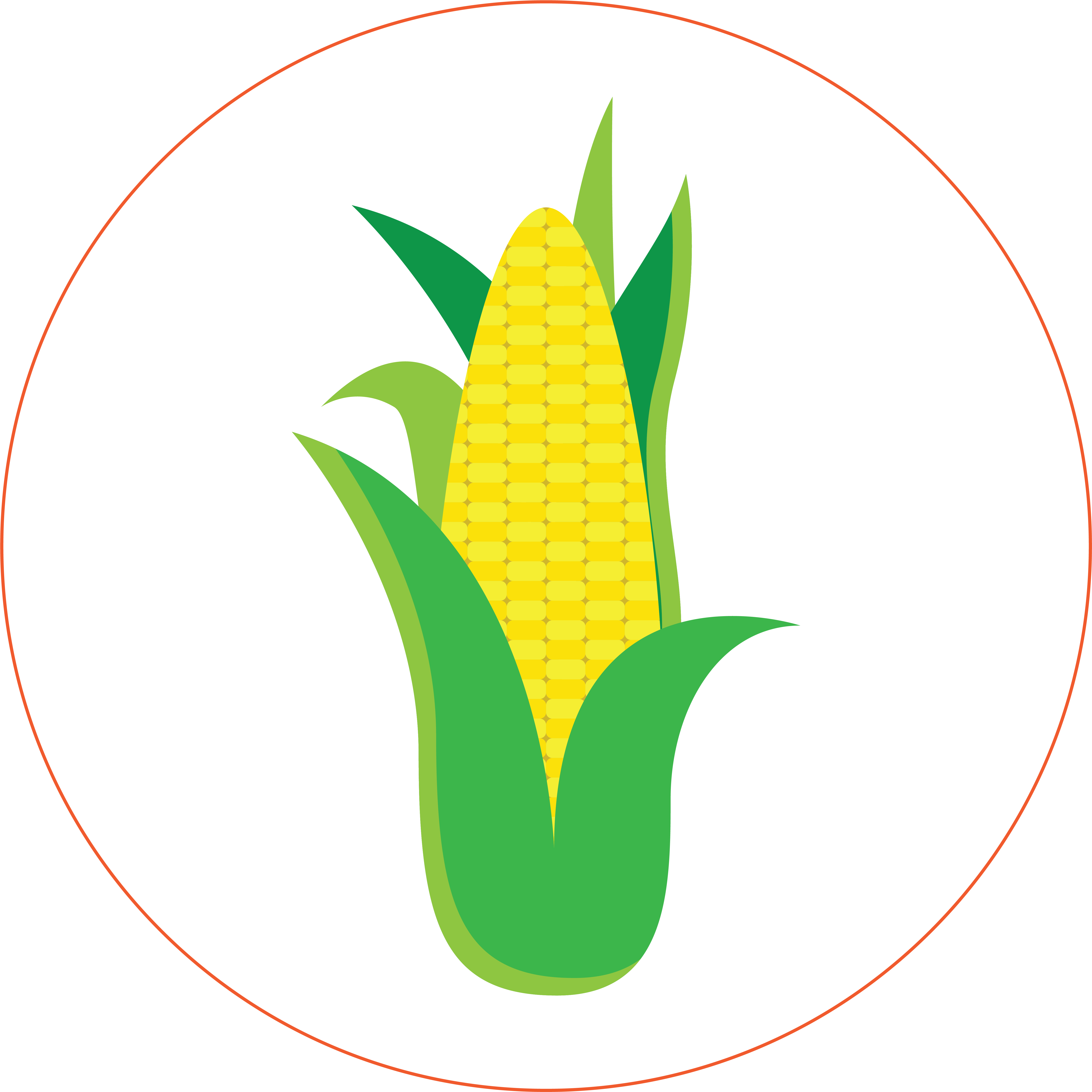Corn - Sweet Corn Clipart (6000x6000), Png Download