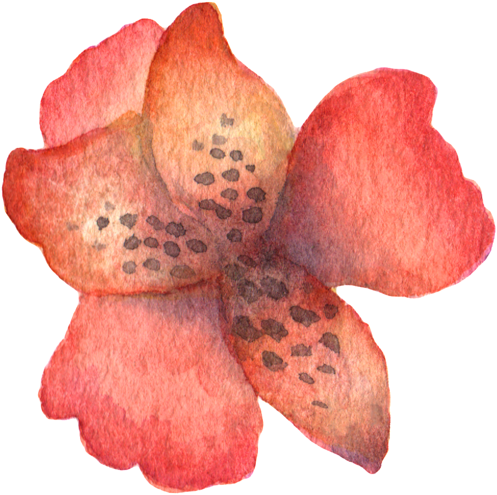 Hand Painted Stick Figure A Red Flower Watercolor Transparent - Macro Photography Clipart (975x971), Png Download