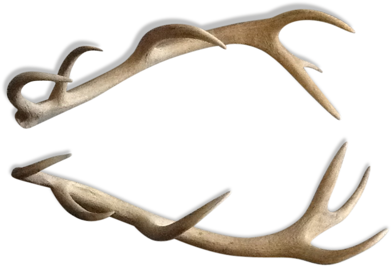 Deer , Png Download Clipart (1250x854), Png Download