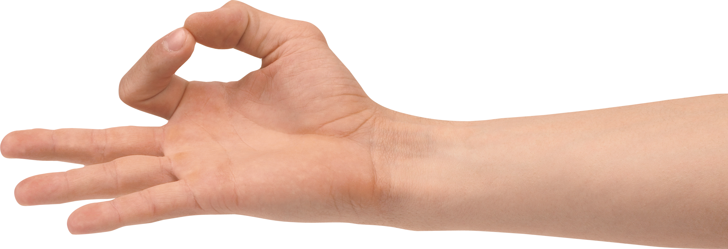 Collection Of Free Transparent Multicultural Download - Transparent Hand Png Clipart (2446x836), Png Download