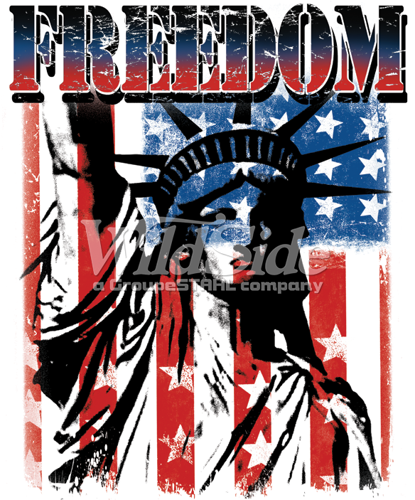 Freedom Flag With Lady Liberty - Statue Of Liberty National Monument Clipart (709x709), Png Download