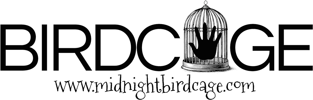 Midnight Birdcage - Cage Clipart (1080x350), Png Download