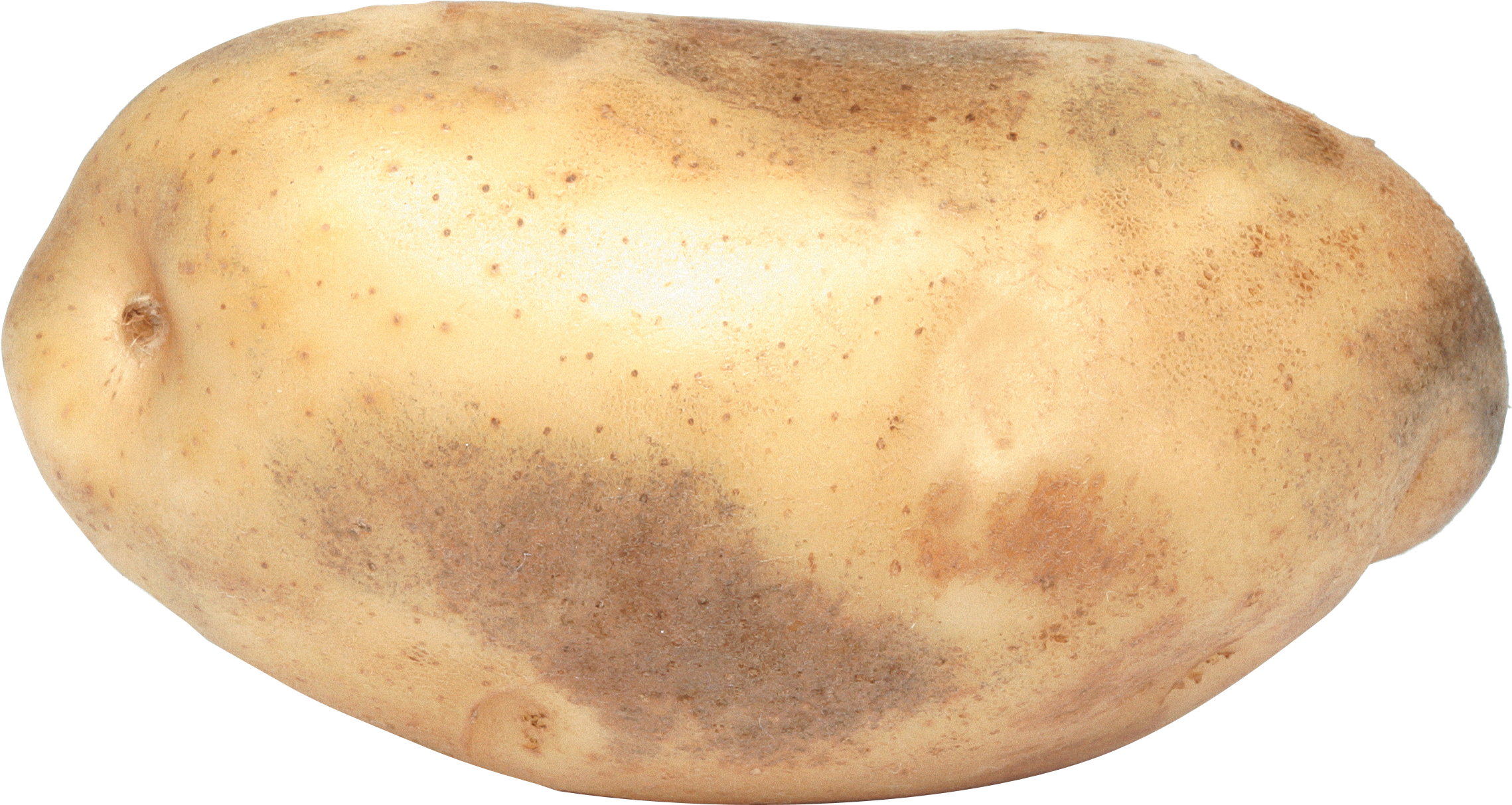 Potato Png Images - Potato Png Clipart (2278x1212), Png Download