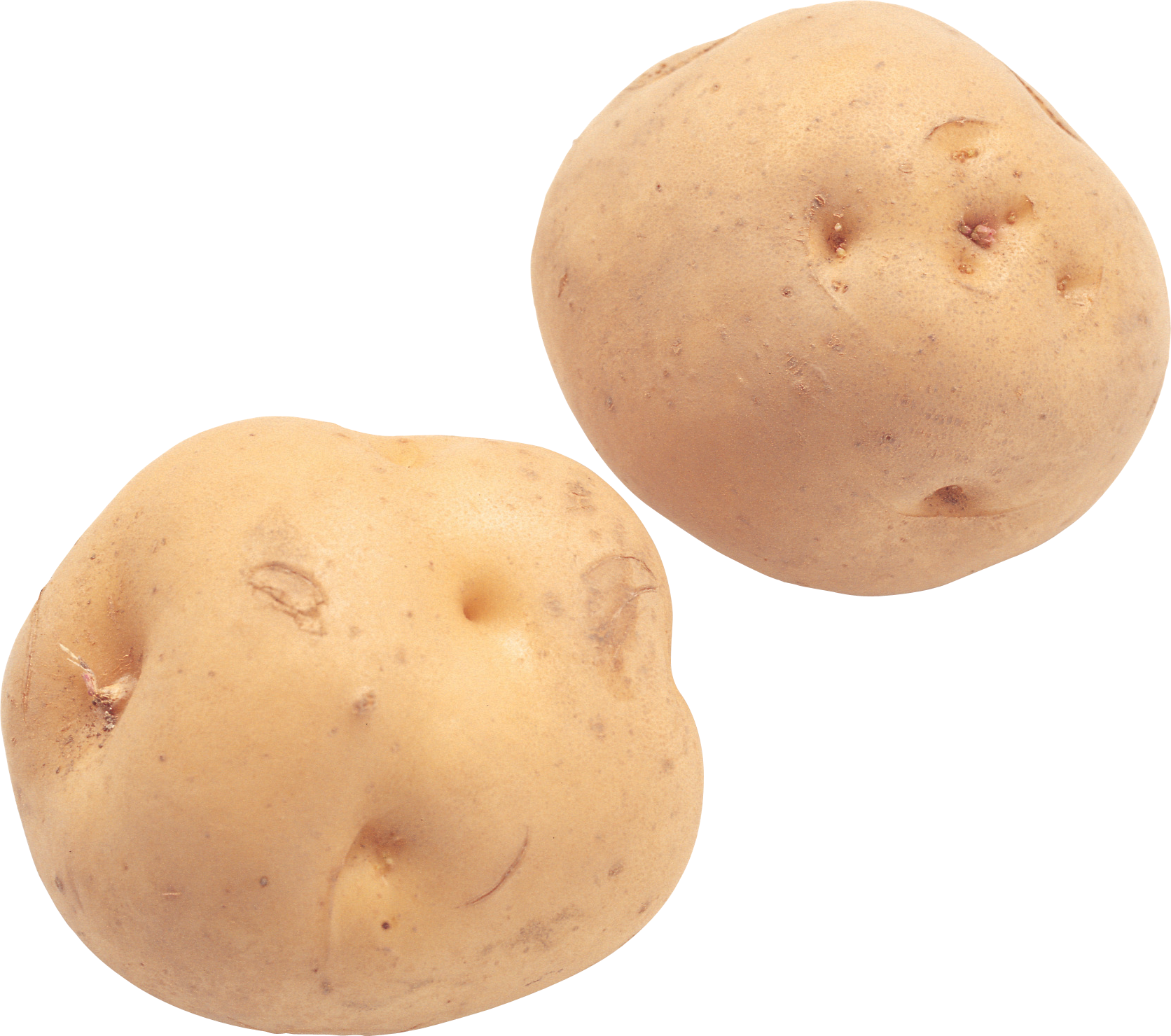Potato - Potato Png Clipart (1672x1480), Png Download