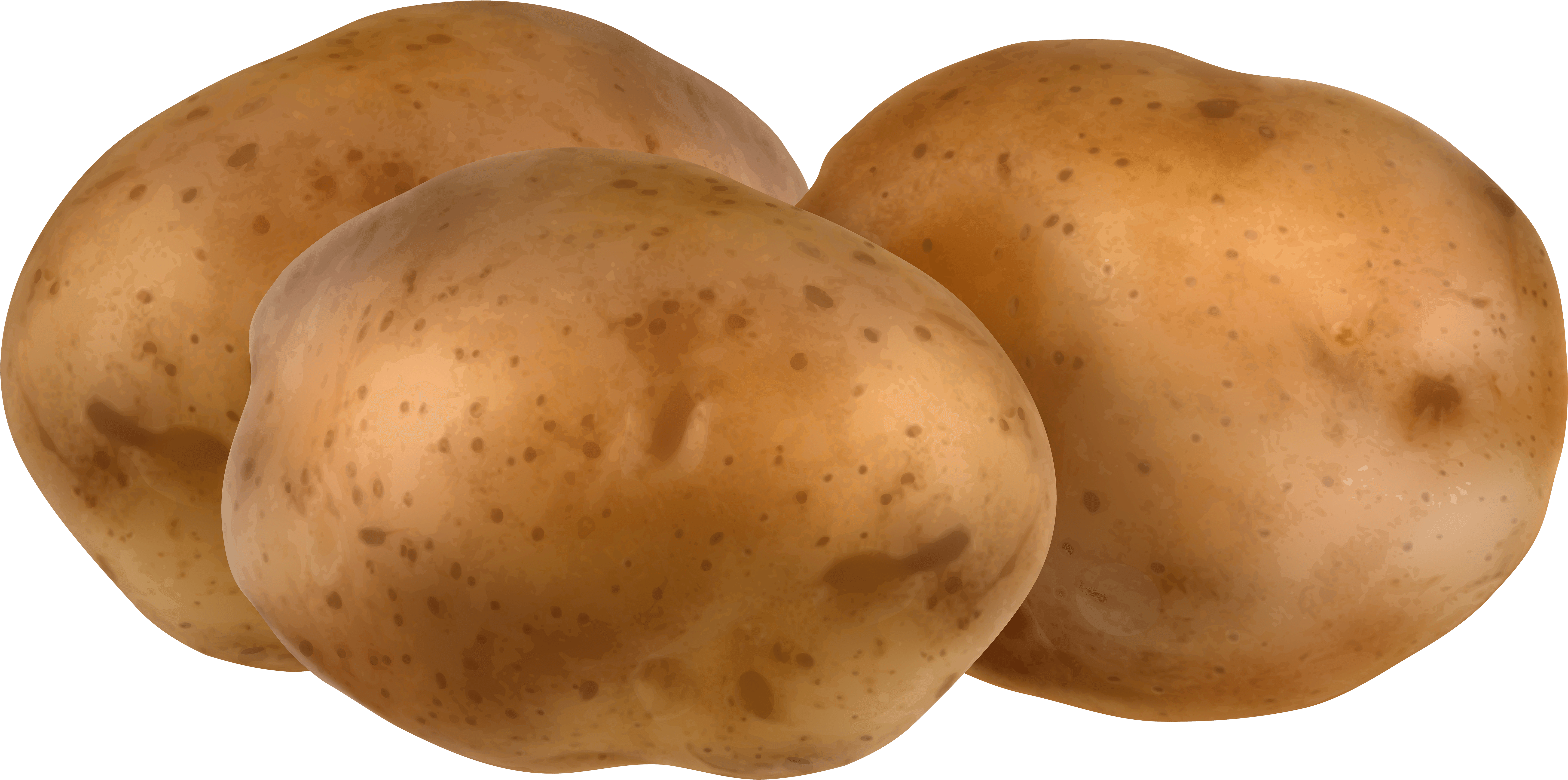 Cute Potato Png - Potatoes Clipart Transparent Png (1600x792), Png Download