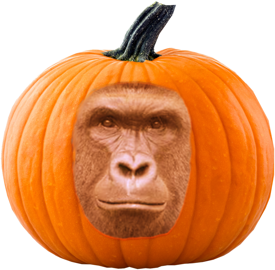 Harambism On Twitter - Pumpkin Clipart (1200x1200), Png Download