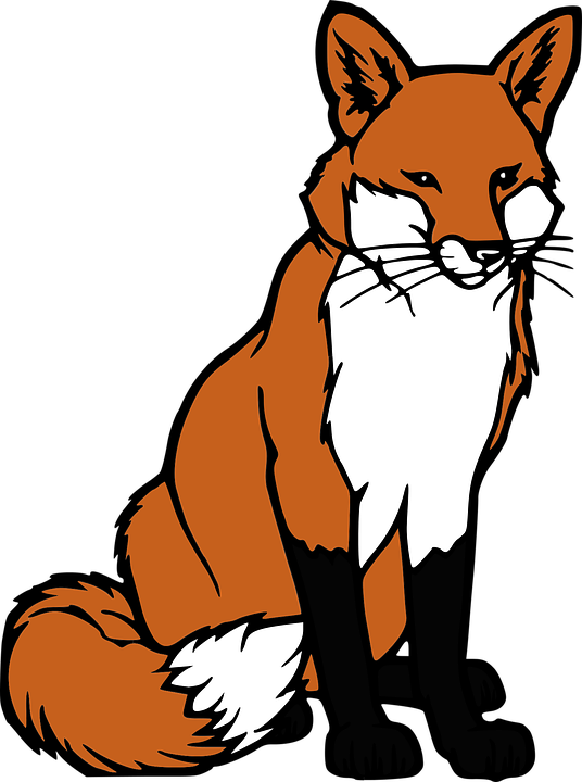 Download Fox Png Transparent Images Transparent Backgrounds - Fox Clip Art Outline (536x720), Png Download