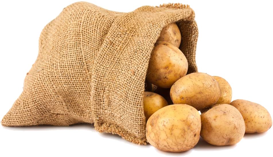 Sacks Of Potatoes - Potatoes Sack Clipart (1100x733), Png Download