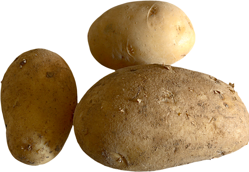 Fresh Potato Png Image Clipart (1024x768), Png Download