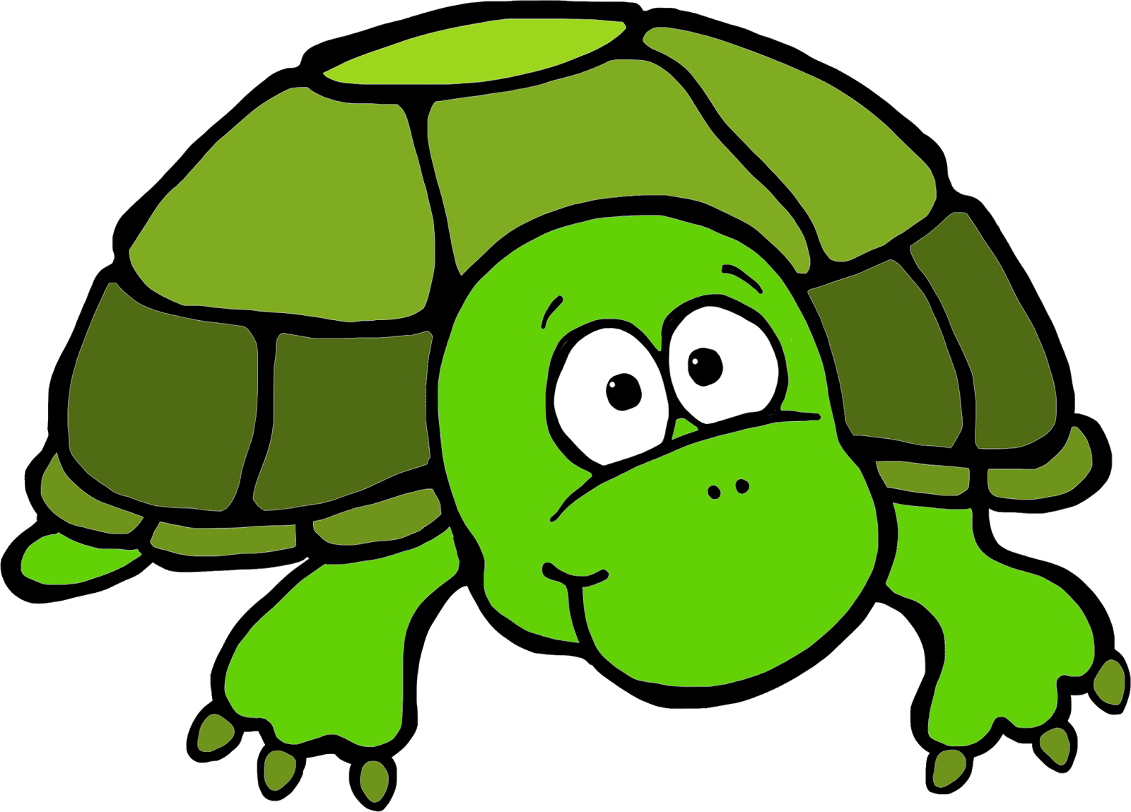 1600 X 1149 3 - Turtle Clip Art Colored - Png Download (1600x1149), Png Download