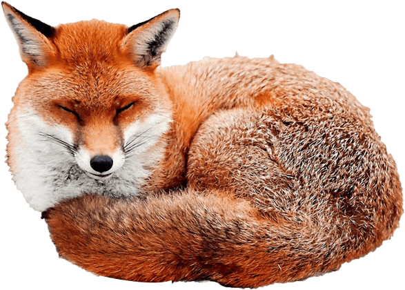 Download Fox Png Images Background - Gif Fox Snow Clipart (850x532), Png Download