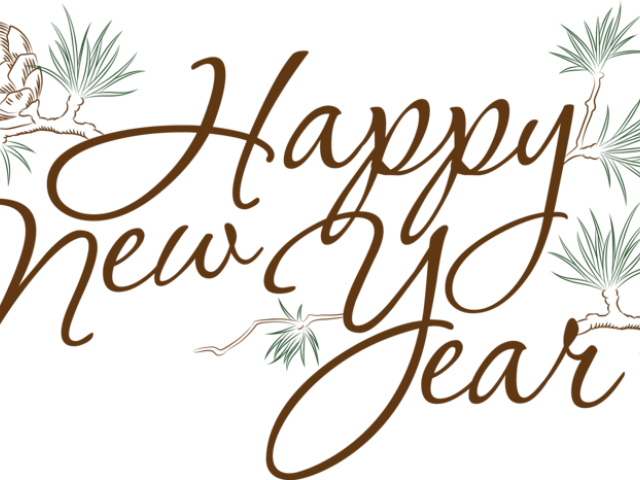Happy New Year Png Transparent Images - New Years Fireworks Clipart (640x480), Png Download