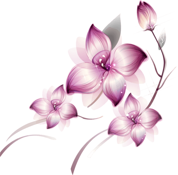 Descargar - Transparent Flower Clipart (600x591), Png Download