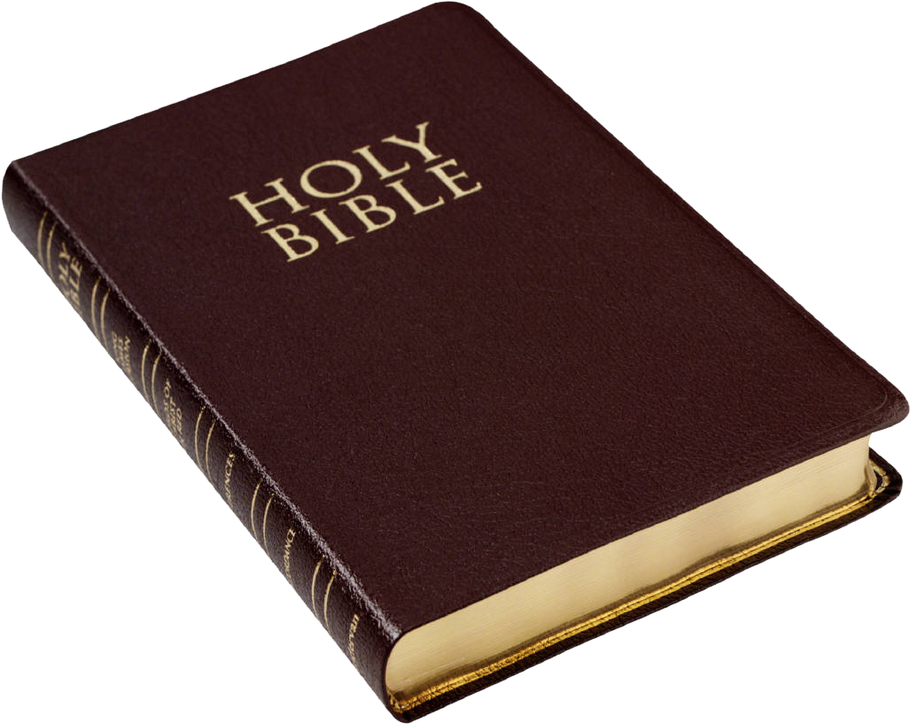 Holy Bible - Holy Book Of Christianity Clipart (1050x839), Png Download