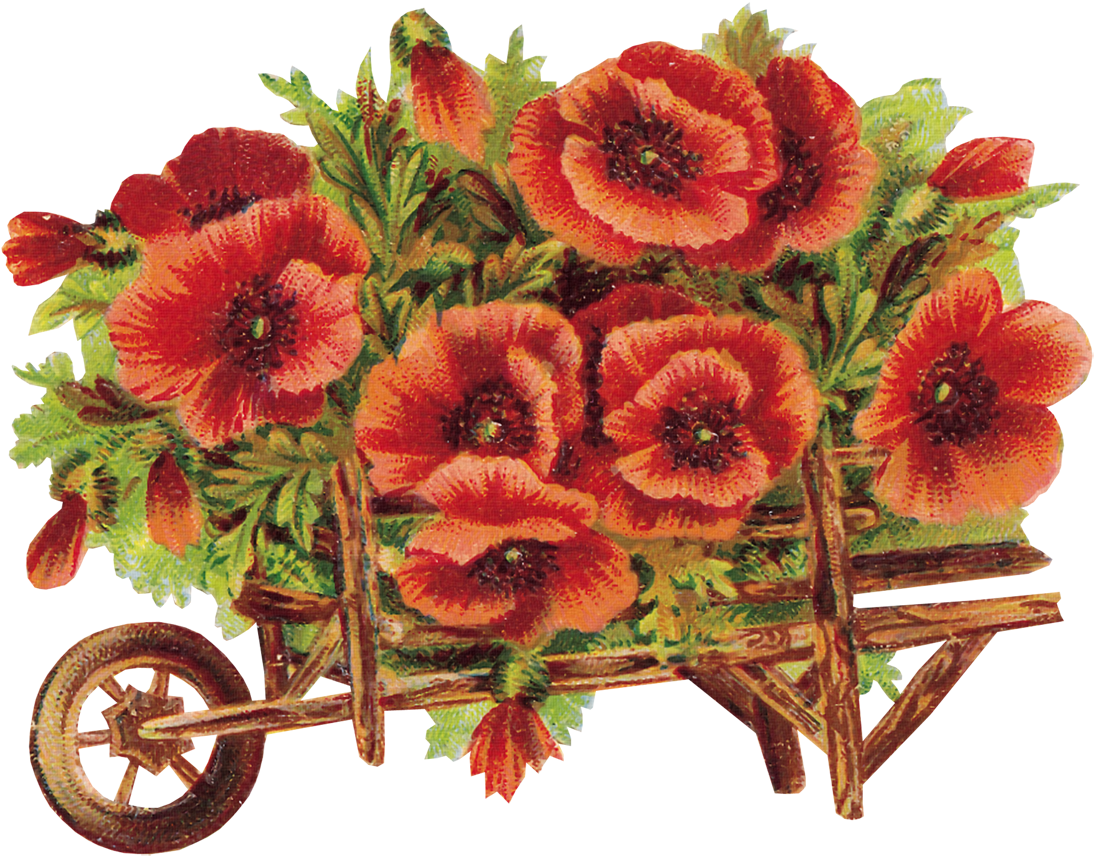 Flores Png - Flower Photoshop Clipart (1200x900), Png Download