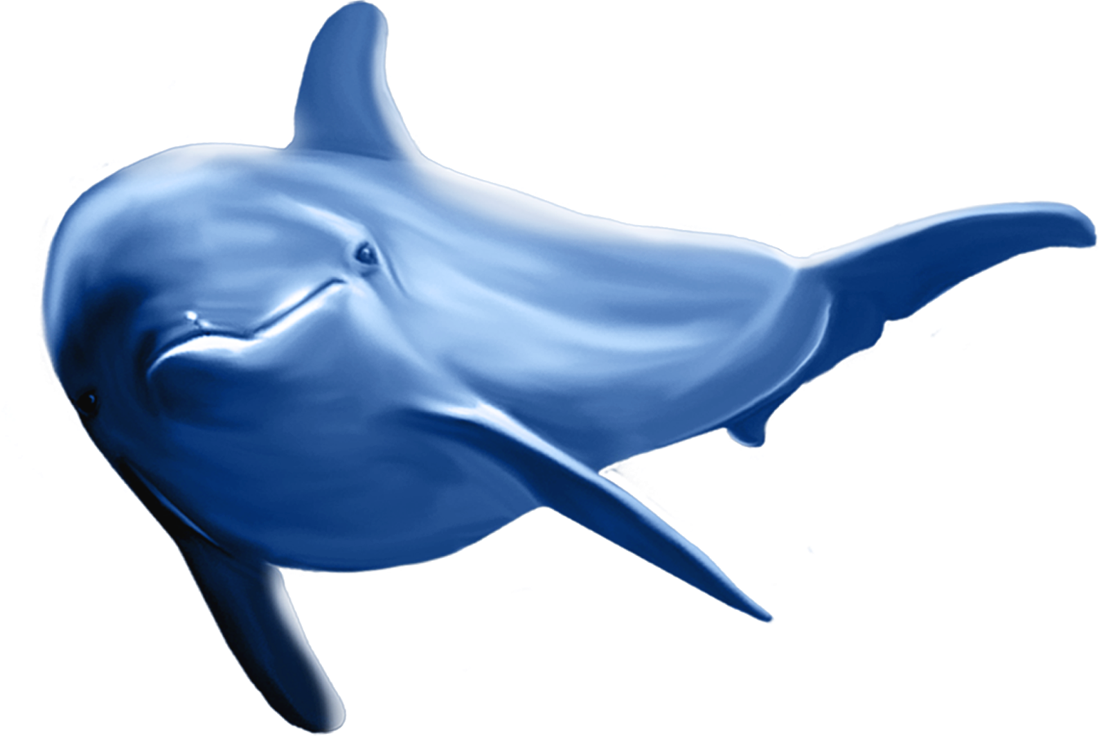 Dolphin Png Clip Art Image - Dolphins Clipart Transparent Png (1600x1063), Png Download