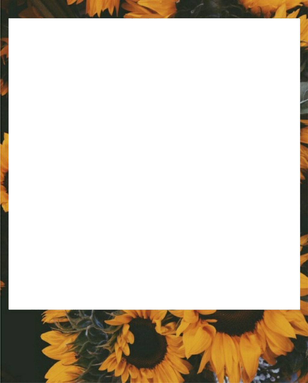 Download 823 X 1024 8 - Aesthetic Polaroid Frame Png Clipart Png