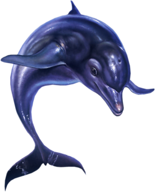 Jumping Dolphin Png - Ecco The Dolphin Png Clipart (501x620), Png Download