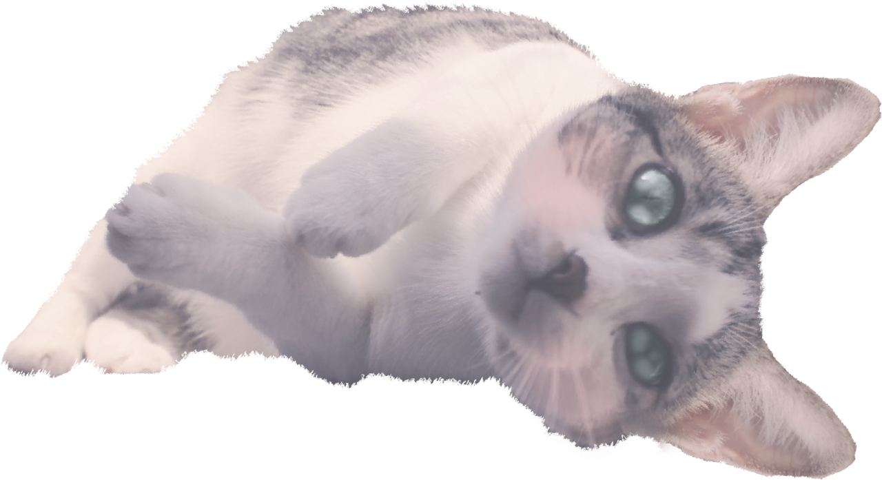 Here's A Png Of My Cat, Josie - Kitten Clipart (1280x697), Png Download