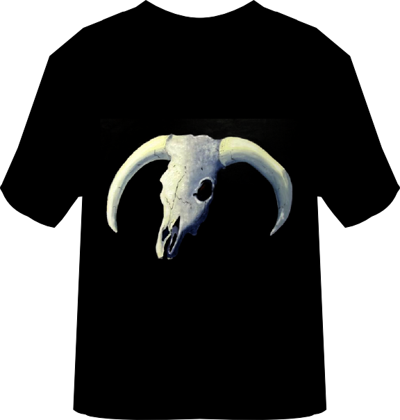 Horned Skull - Horn Clipart (576x605), Png Download