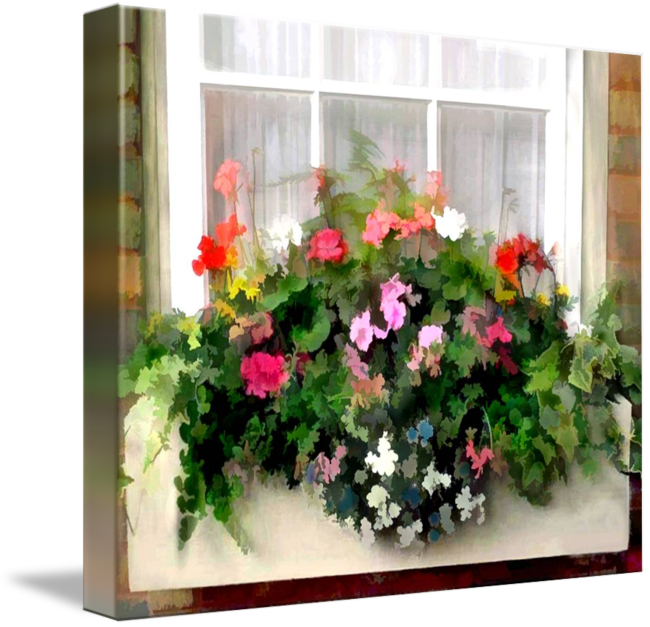 Window Box Png - Petunia Clipart (650x627), Png Download
