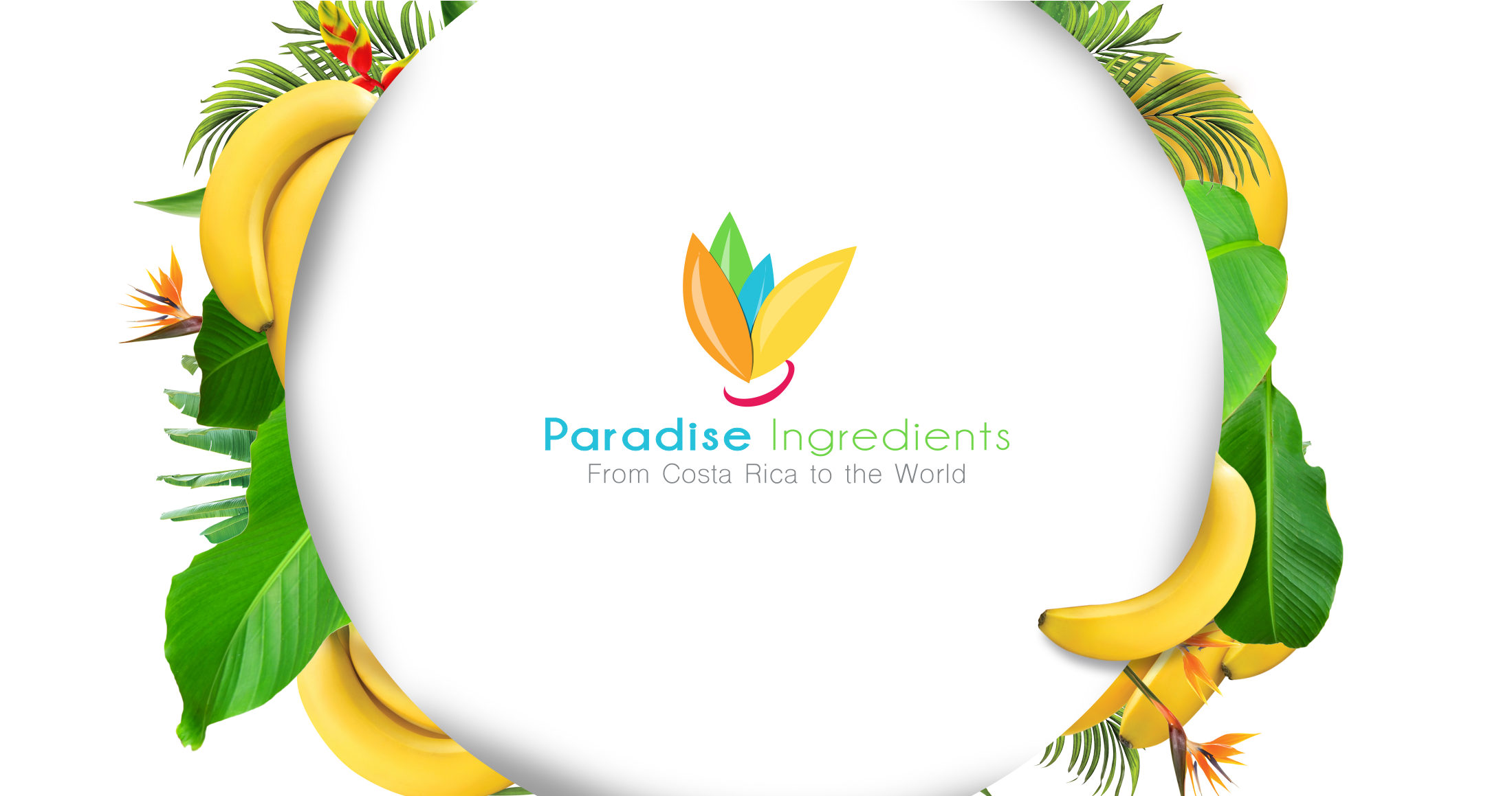 Slide-00 - Paradise Ingredients Costa Rica Clipart (2378x1158), Png Download