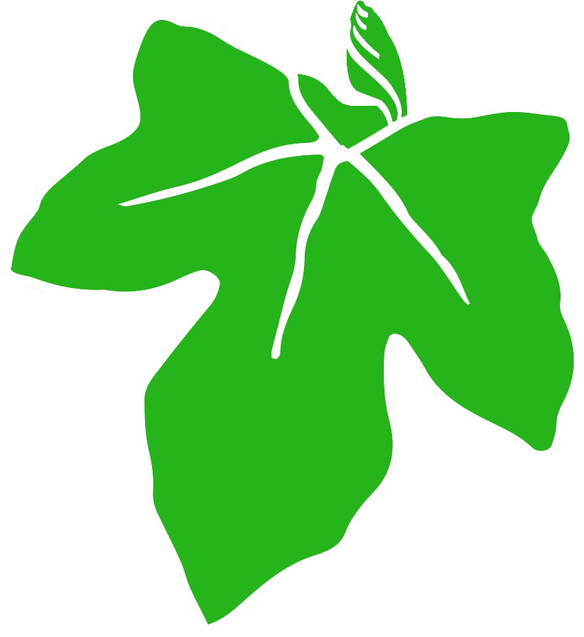 Old Ivy Brewery Clipart (966x966), Png Download