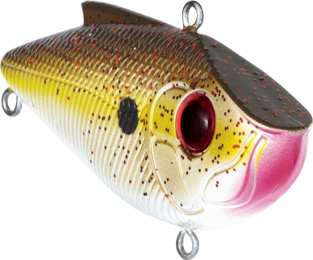Trout Clipart (1200x899), Png Download